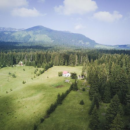 Homestay Djerkovic Žabljak Esterno foto