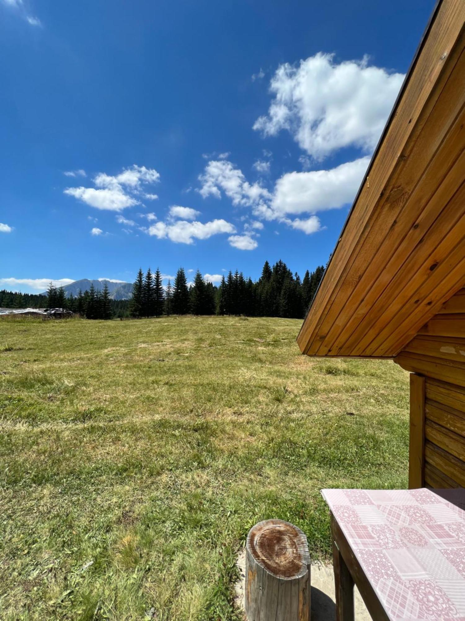 Homestay Djerkovic Žabljak Esterno foto