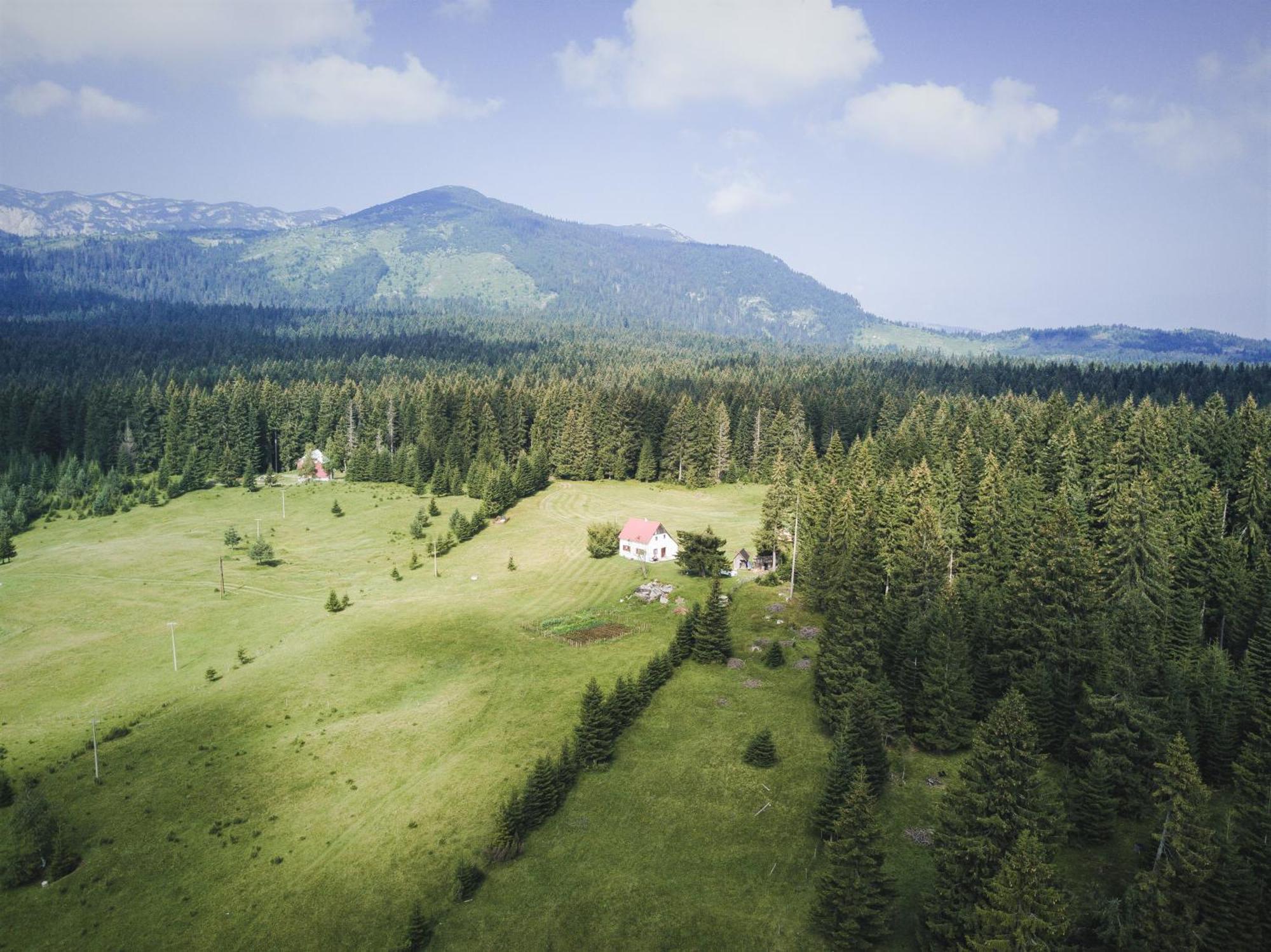 Homestay Djerkovic Žabljak Esterno foto