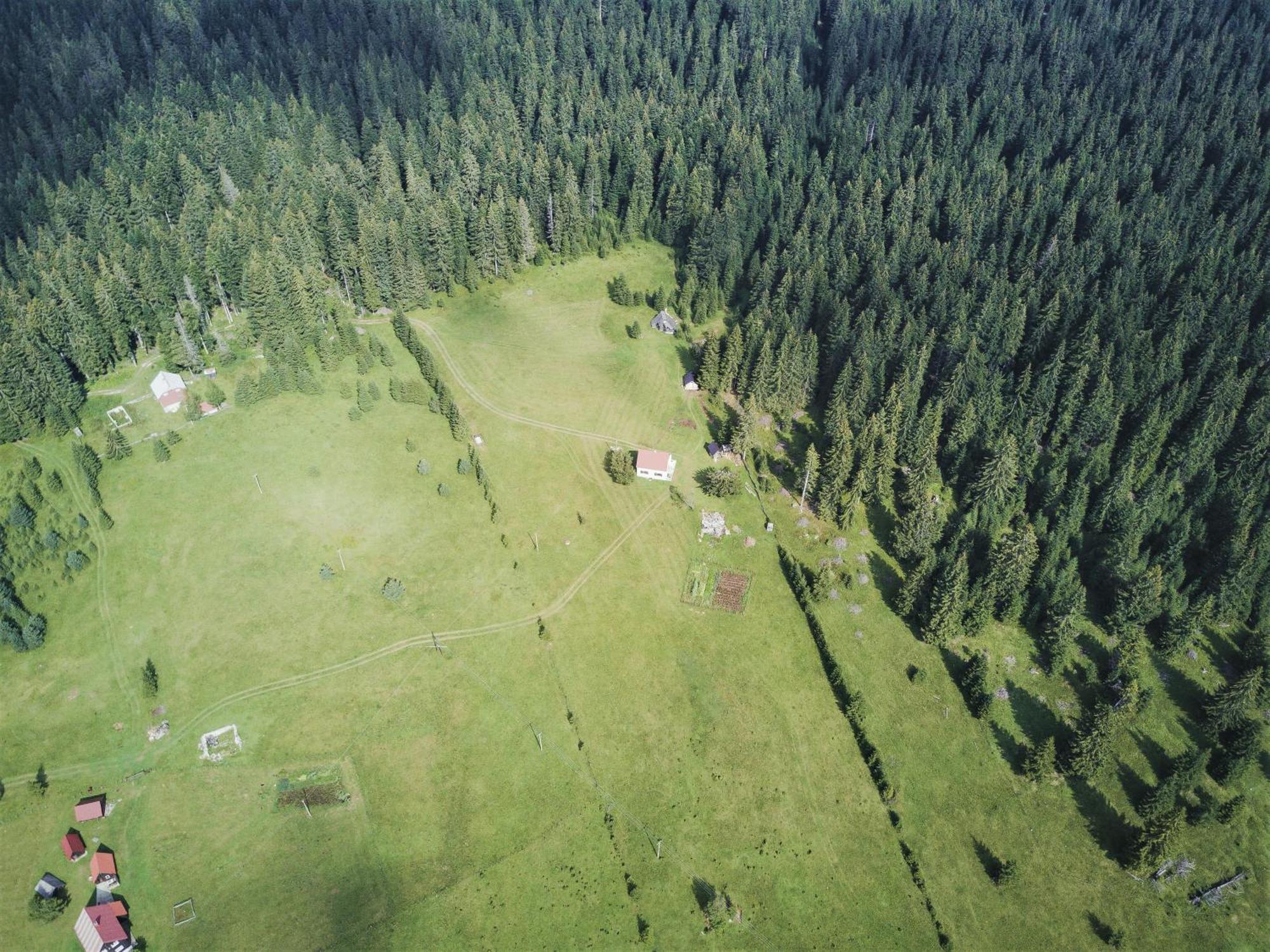 Homestay Djerkovic Žabljak Esterno foto