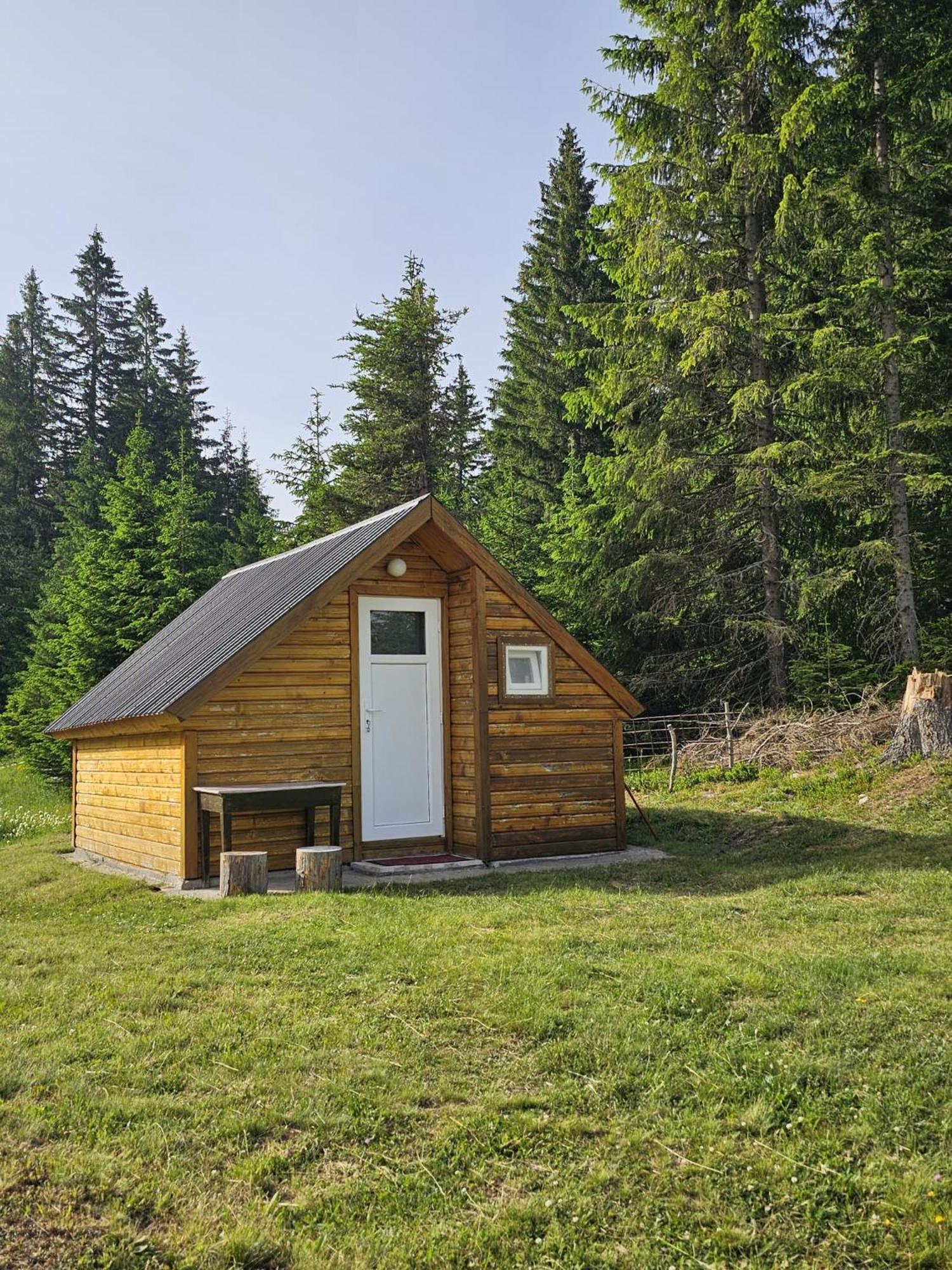 Homestay Djerkovic Žabljak Esterno foto