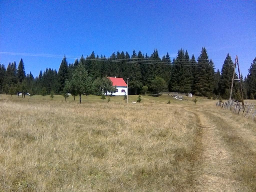 Homestay Djerkovic Žabljak Esterno foto