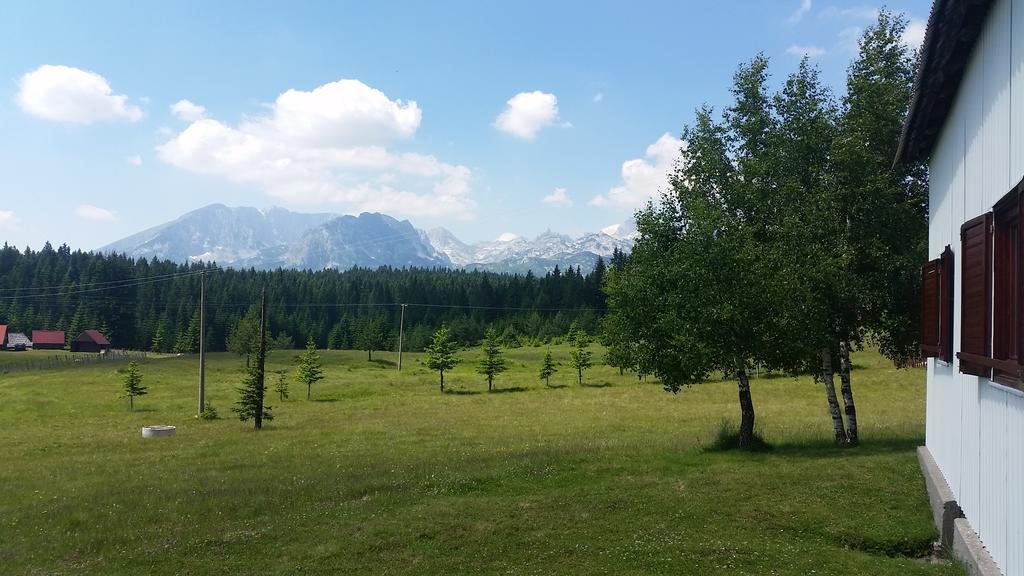 Homestay Djerkovic Žabljak Esterno foto