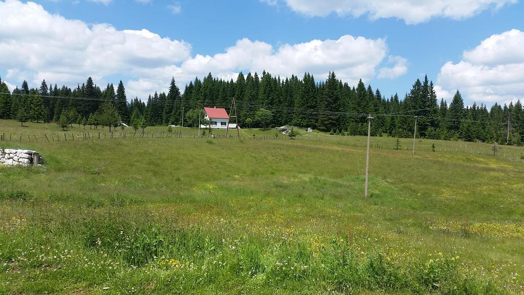 Homestay Djerkovic Žabljak Esterno foto