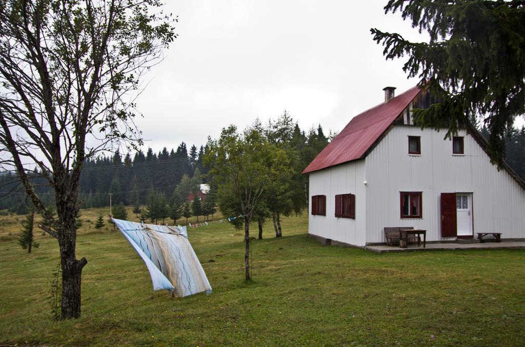 Homestay Djerkovic Žabljak Esterno foto
